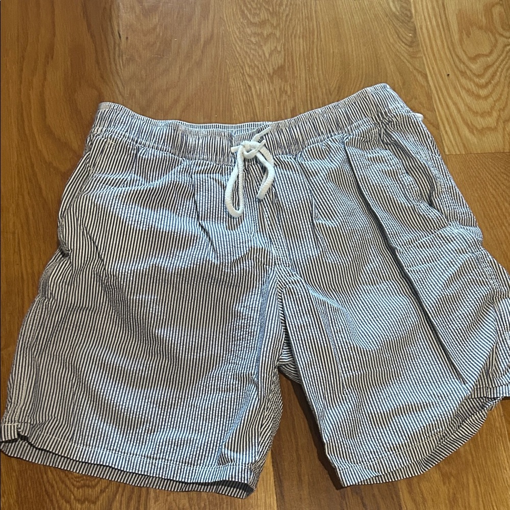 J. Crew Navy and White Striped Swim Shorts
